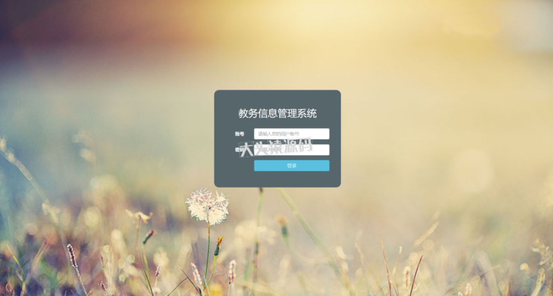 基于ssm的学生选课系统-大头猿源码