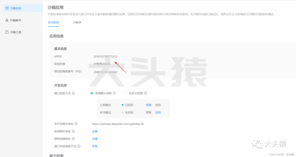 图片[7]-手把手教你如何在自己的项目中引入支付宝支付-大头猿源码