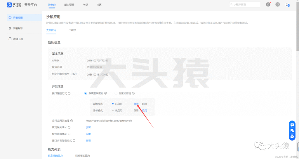图片[8]-手把手教你如何在自己的项目中引入支付宝支付-大头猿源码
