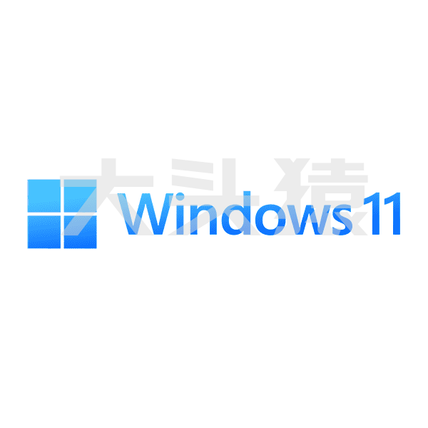 Windows11系统-大头猿源码