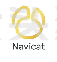 Navicat Premium(数据库管理) 绿色版-大头猿源码