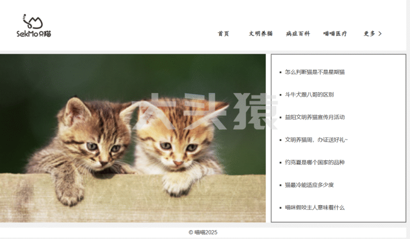 html入门示例-宠物百科-大头猿源码